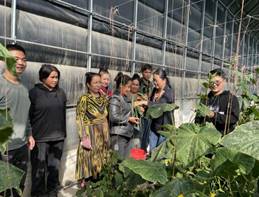 微信图片_20241006110858