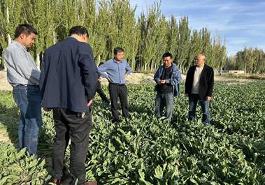 ba81a785b77db948b026e4994bf2b76